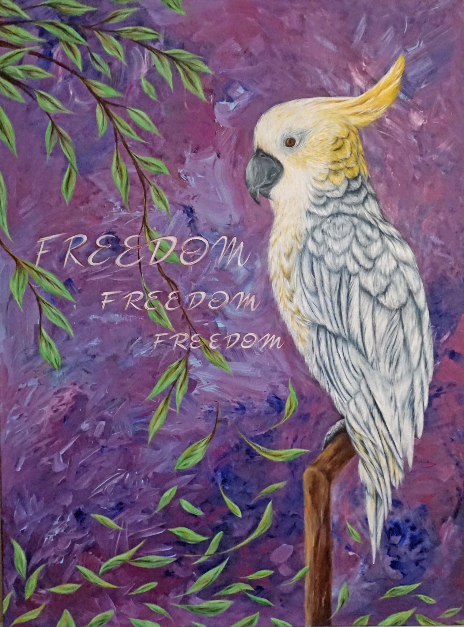 Freedom Freedom Freedom by Erica Moen